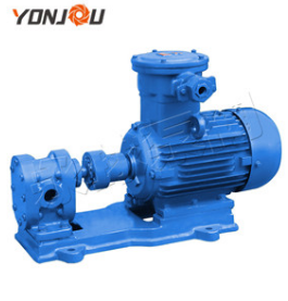 齒輪泵系列之齒輪潤滑泵實拍圖 齒輪泵系列之齒輪潤滑泵實拍圖